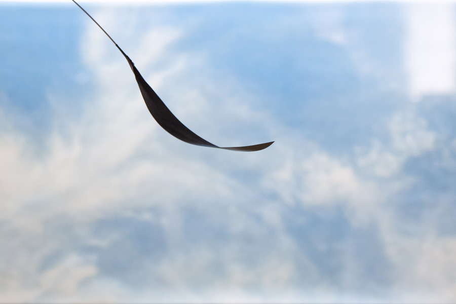 Ausstellung Goldschmiedehaus Hanau, 2024