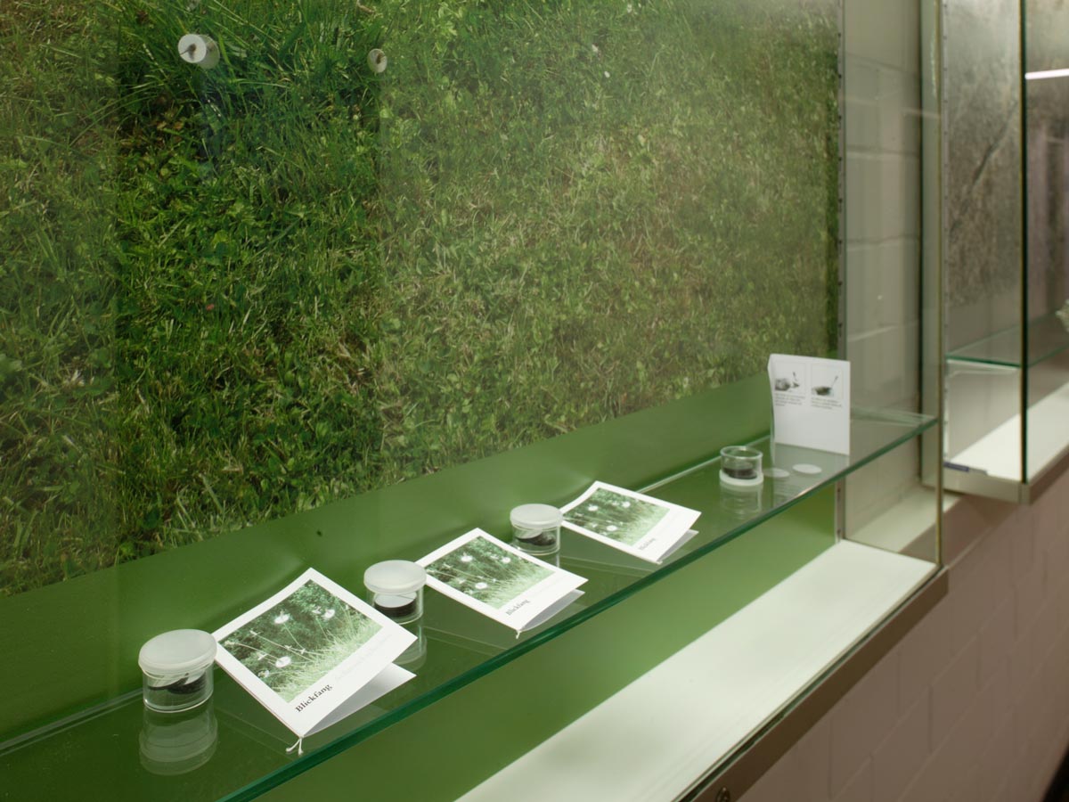 Ausstellung; Was ist Schmuck. FH Düsseldorf