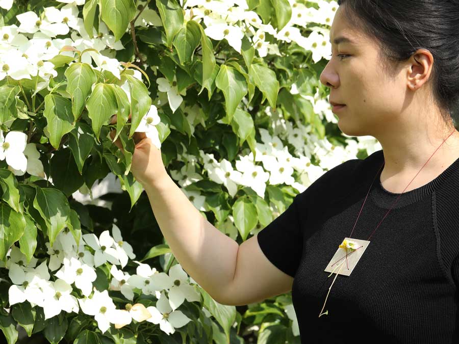 Schmückende Objekte – Überkreuz