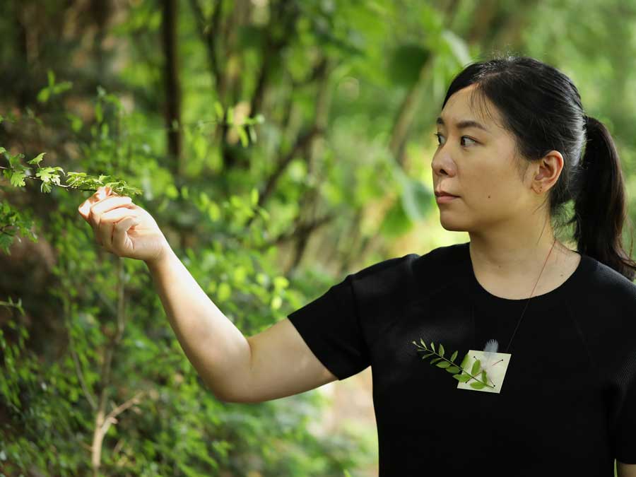 Schmückende Objekte – Überkreuz