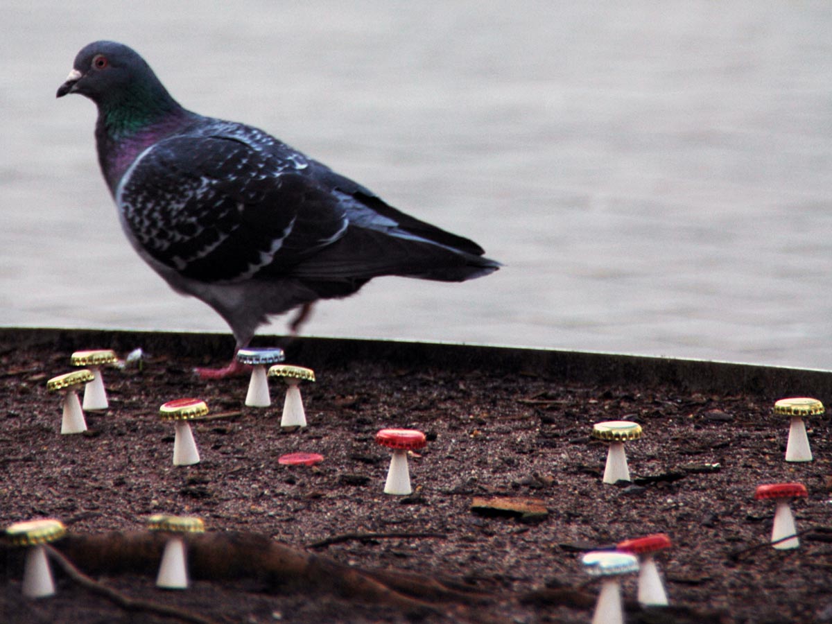 Eine Woche Worringer Platz