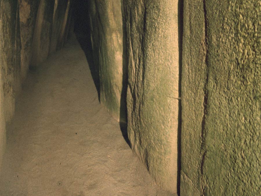 Bedeutungsträger: Haut