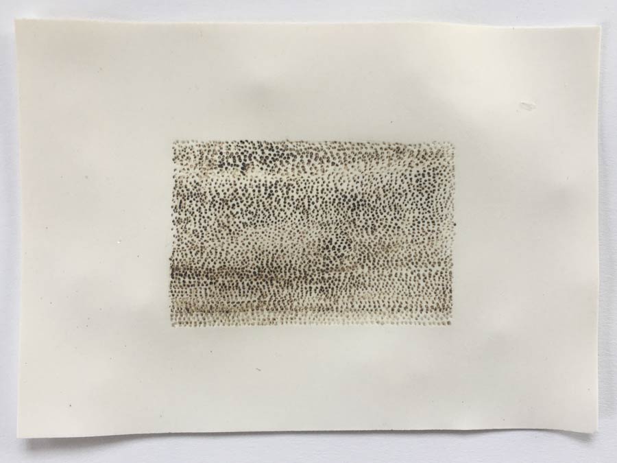 Bedeutungsträger: Haut