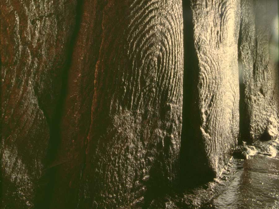 Bedeutungsträger: Lebensspuren