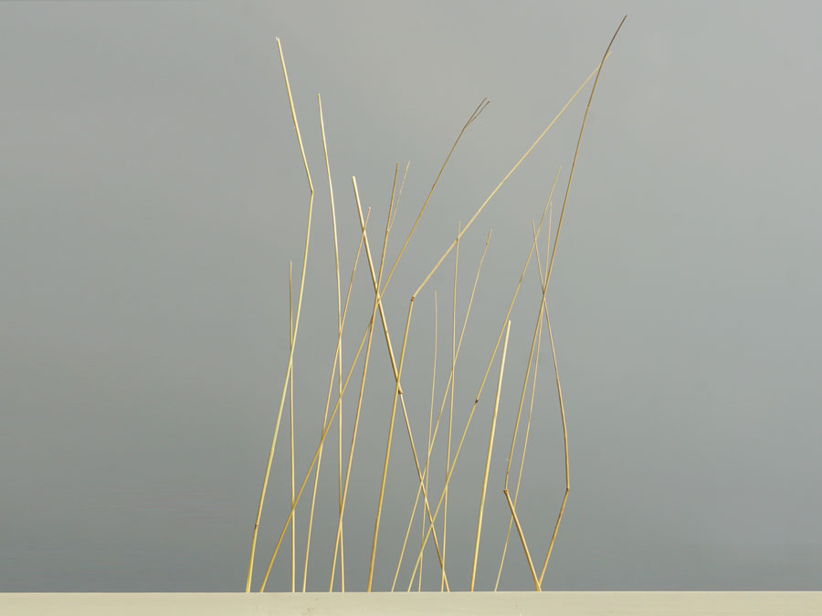 Spuren: In der Natur gefunden