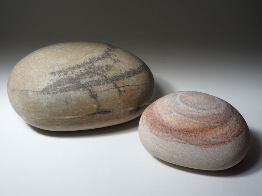 Spuren: In der Natur gefunden