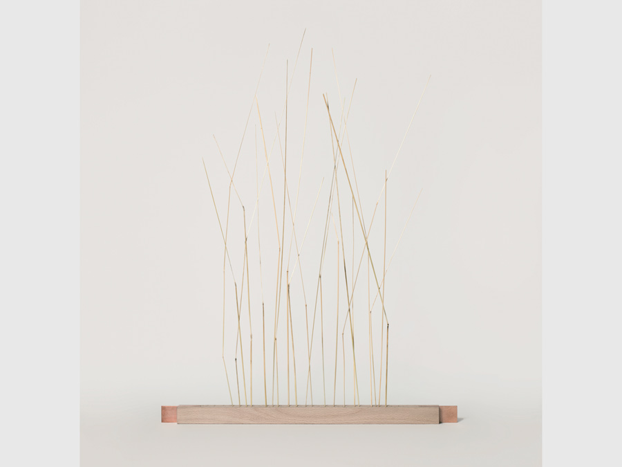 Spuren: In der Natur gefunden